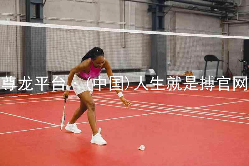 尊龙平台·(中国)人生就是搏官网