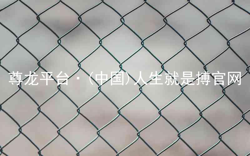 尊龙平台·(中国)人生就是搏官网